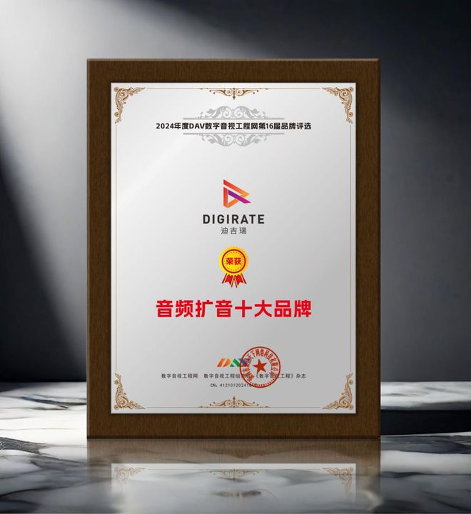 1“2024年度音频扩音十大品牌”名单公布！爱游戏app网站手机版喜讯来袭！ DAV0(图12)