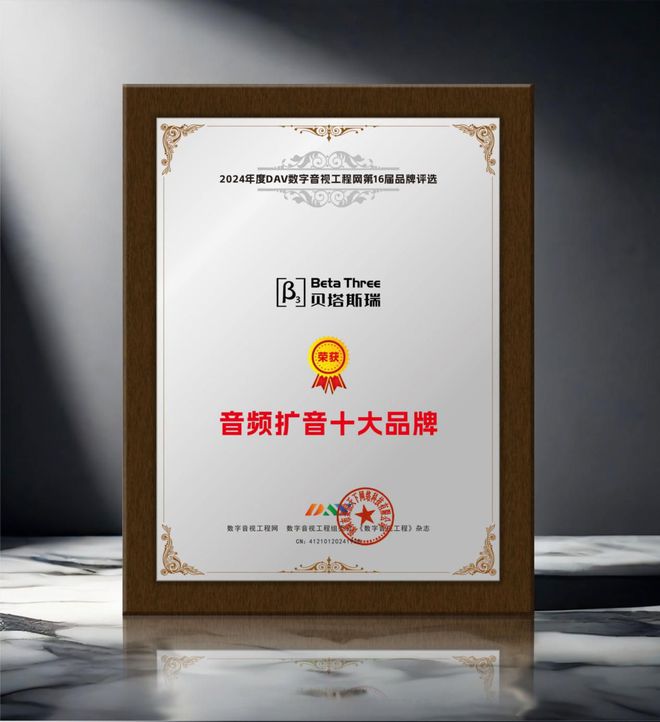 1“2024年度音频扩音十大品牌”名单公布！爱游戏app网站手机版喜讯来袭！ DAV0(图11)